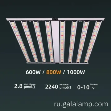 Улучшение фотосинтеза с помощью светодиодного светодиода Premium Grow